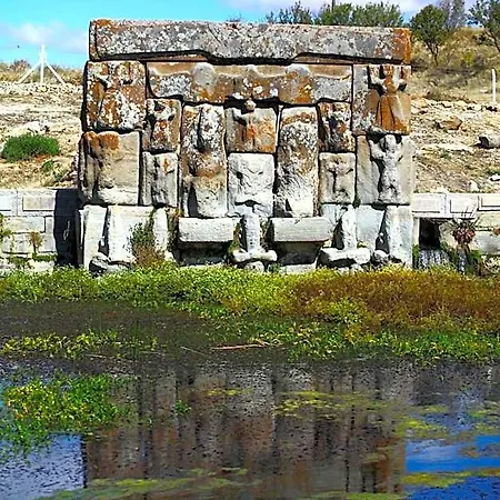 Ali Bilir Beysehir