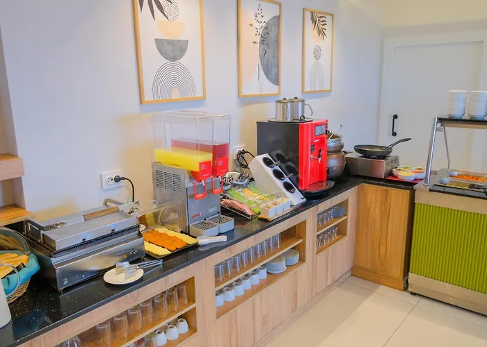 מלון Ali Bilir 3*